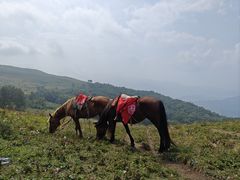 -灵山