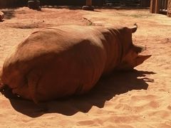 -昆明动物园