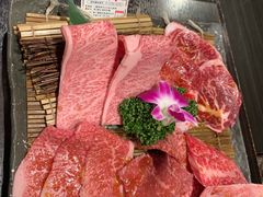 -俺的焼肉(銀座9丁目店)