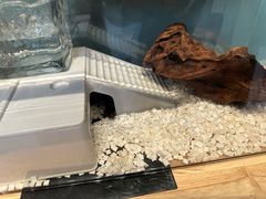 -墨more调香馆DIY自调香水(博雅国际中心B座店)