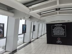 -上海环球金融中心骑迹50年环球之旅