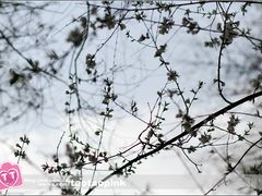 -哈尔滨师范大学(江南校区)