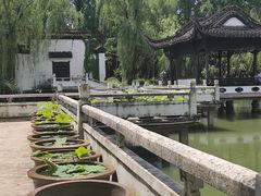 -浮庄