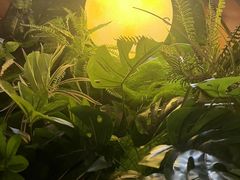 -宏宴·新京菜(望京店)