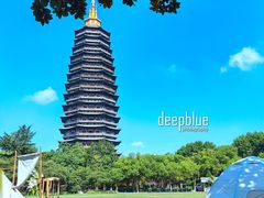 -红梅公园