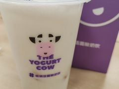 -一只酸奶牛(春熙路店)