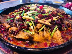 -老板恋上鱼(恒隆广场店)