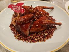 大红袍乳鸽王-朱记乳鸽王·非遗石岐乳鸽·全鸽宴(大兴旗舰店)