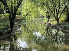 -杭州城北体育公园