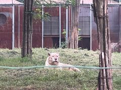 -秦皇岛野生动物园