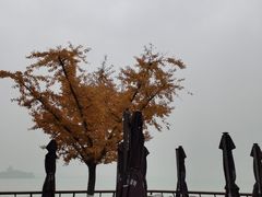 -岁粤Moon·湖景餐厅(月光码头店)