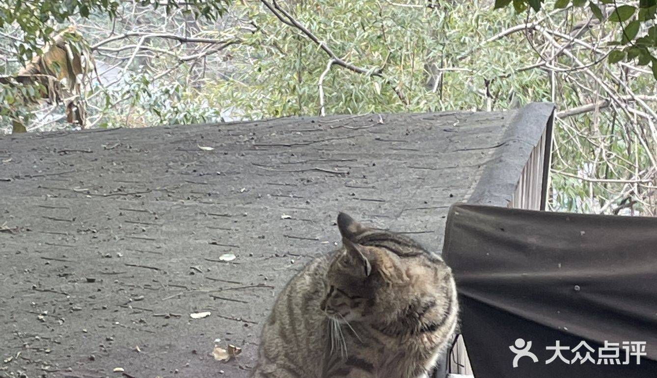 呜呜呜这家店真的是内心白月光