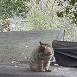 呜呜呜这家店真的是内心白月光