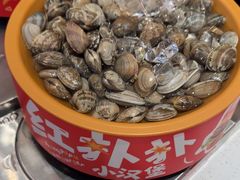 -龍歌自助小火锅(淮安楚州万达店)