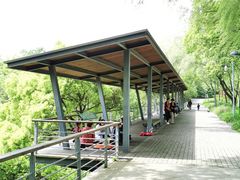 -西湖风景区-江洋畈生态公园