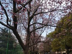 -白塘生态植物园