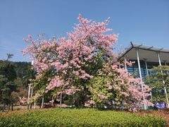 -中国移动南方基地