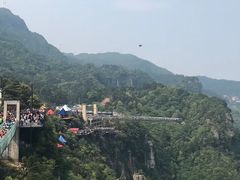 -梦幻奥陶纪景区
