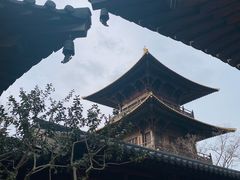 -广富林郊野公园