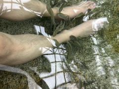 -麦积山温泉