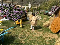 -HERRE·FARM 赫尔露营农场·团建聚会包场