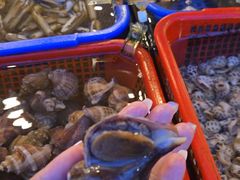 -新金盛·海鲜酒楼(盐田店)
