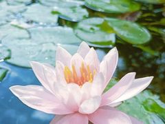 -黔人百味.贵州菜