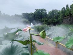 -广州莲花山旅游区