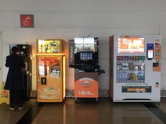 -厦门高崎国际机场-T3航站楼