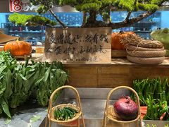 -田园印象·成都土菜院子(华阳店)