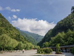 -牛背梁国家森林公园