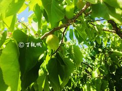 景点-大连北马山庄