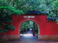-灵谷景区