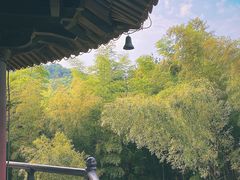 -天下玉苑