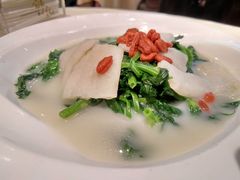 鱼汤竹笙浸豆苗-镛记酒家