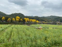 -红山村