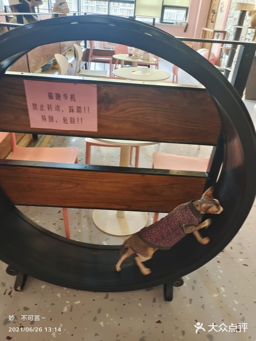 喵匠猫主题咖啡(凯德和平广场店)图片