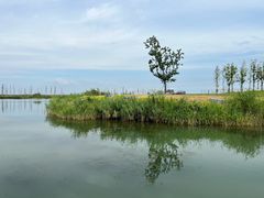 -蟹天蟹地农家菜·阳澄湖大闸蟹(浅水湾店)