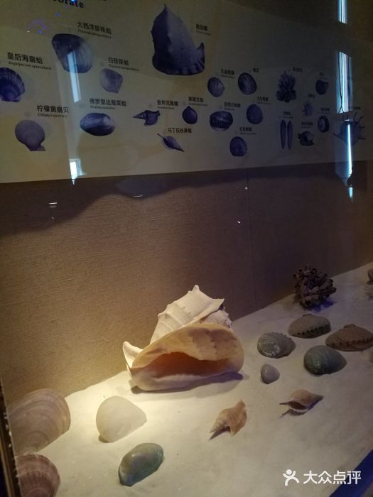 广东省博物馆景点图片