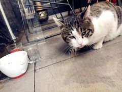 -UNI UNI(环亚凯瑟琳店)