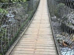 -西岭雪山大飞水景区
