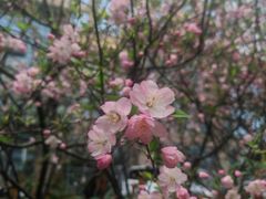 -上海浦西万怡酒店