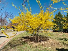 -永定河休闲森林公园