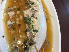 -呼吸森林·生态农庄农家乐私房菜