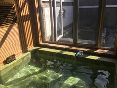 -大连步云山老汤度假山庄