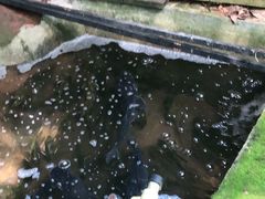 -宅里香.自然餐厅(湘大店)