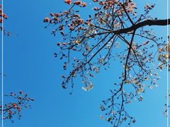 -晓港公园