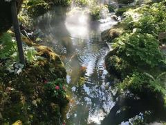 -Chom Cafe and Restaurant