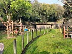 -重庆动物园·东二门售票处