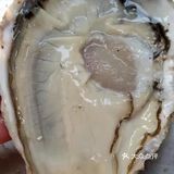 烧烤里的扛把子